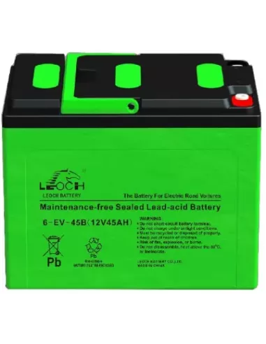 Batterie LEOCH LDC12-55 12 V 55 Ah