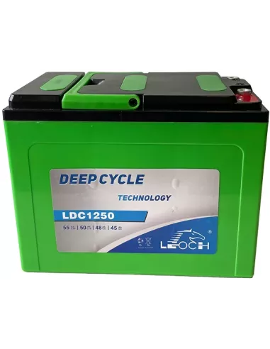 Batterie LEOCH LDC12-55 12 V 55 Ah