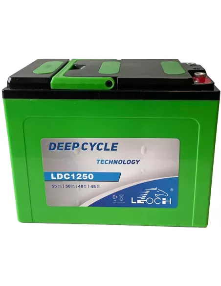Batterie LEOCH LDC12-55 12 V 55 Ah