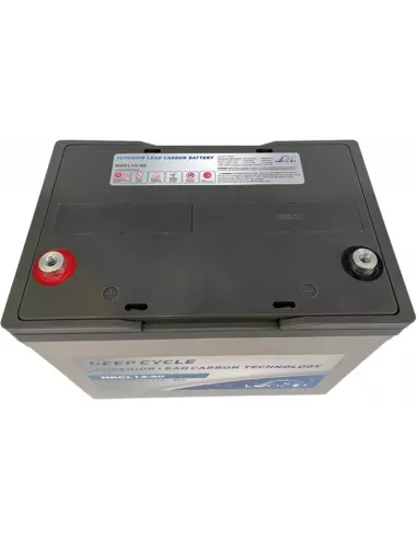 Batterie LEOCH LDC12-80 12 V 90 Ah