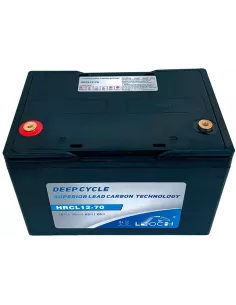 Batterie LEOCH LDC12-76 12 V 76 Ah 2
