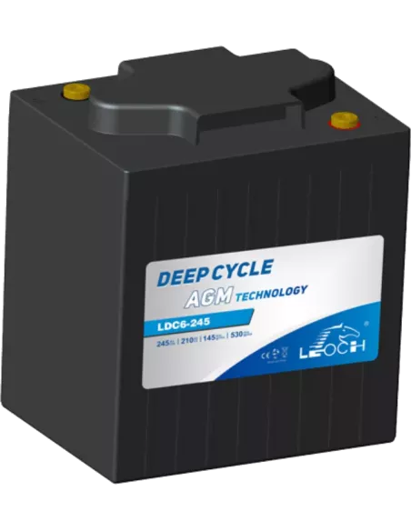 Batterie LEOCH LDC6-245 6 V 245Ah