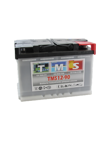Batterie ACEDIS TMS12-90