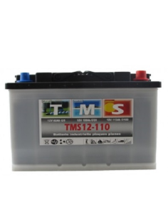 Batterie ACEDIS TMS12-110