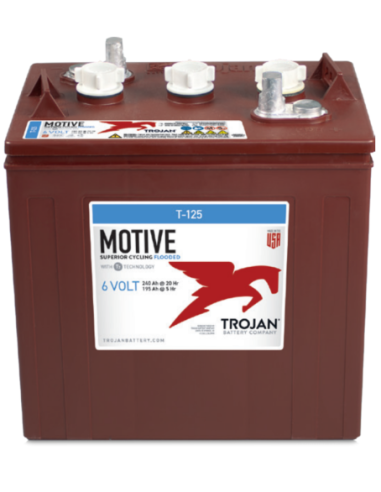 Batterie TROJAN T-125 / 6V 240 Ah