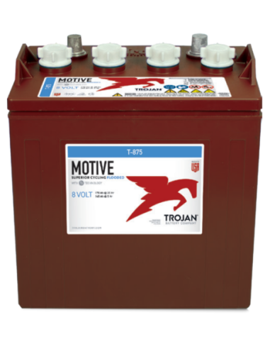 Batterie TROJAN T-875 / 8V 170 Ah
