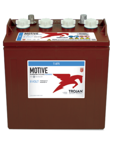 Batterie TROJAN T-875 / 8V 170 Ah
