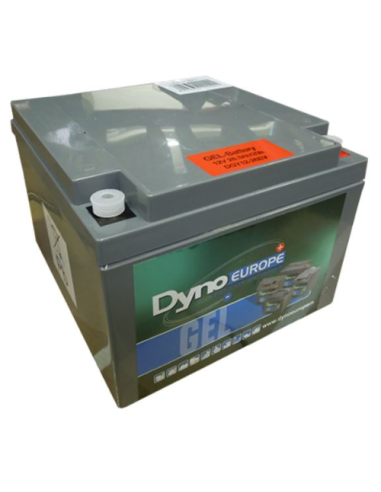 Batterie DYNO EUROPE DGY12-26EV