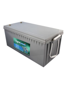 Batterie DYNO EUROPE DGY12-200EV