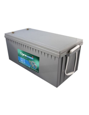 Batterie DYNO EUROPE DGY12-200EV