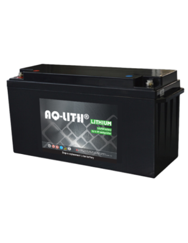 Batterie Lithium Fer Phosphate 24V 100Ah D24-100 AQ-LITH