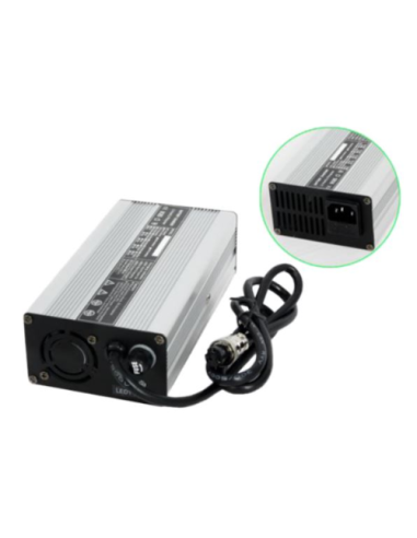 Chargeur de Batterie Lithium Fer Phosphate 12V 10A 4S
