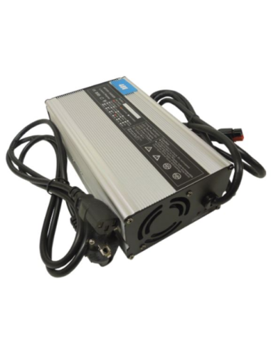 Chargeur de Batterie Lithium Fer Phosphate 48V 10A