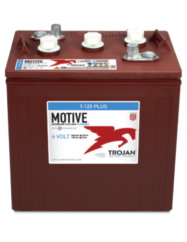 Batterie TROJAN T-125 PLUS / 6V 240 Ah