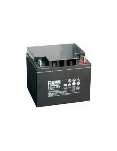 Batterie FIAMM FG24204