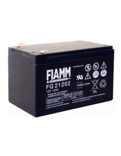 Batterie FIAMM FG21202