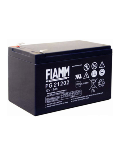 Batterie FIAMM FG21202