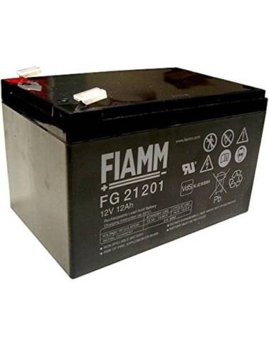 Batterie FIAMM FG21201