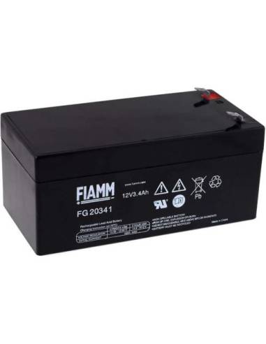 Batterie FIAMM FG20341