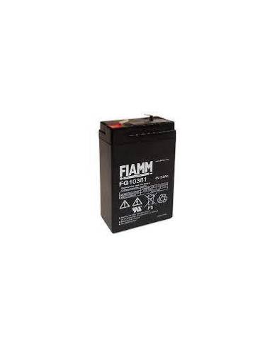 Batterie FIAMM FG10381