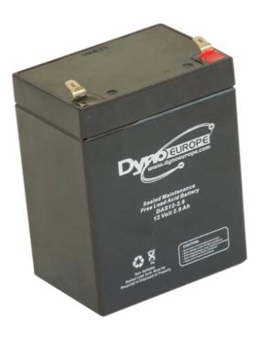 Batterie DYNO EUROPE DAS12-2.9