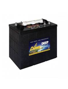 Batterie CROWN CR250 6V 250Ah profil 1