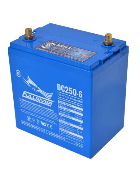 Batterie FULLRIVER DC250-6 6V 250Ah