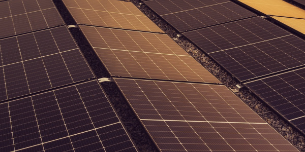 Réforme des Tarifs de Rachat de l'Électricité Solaire en France